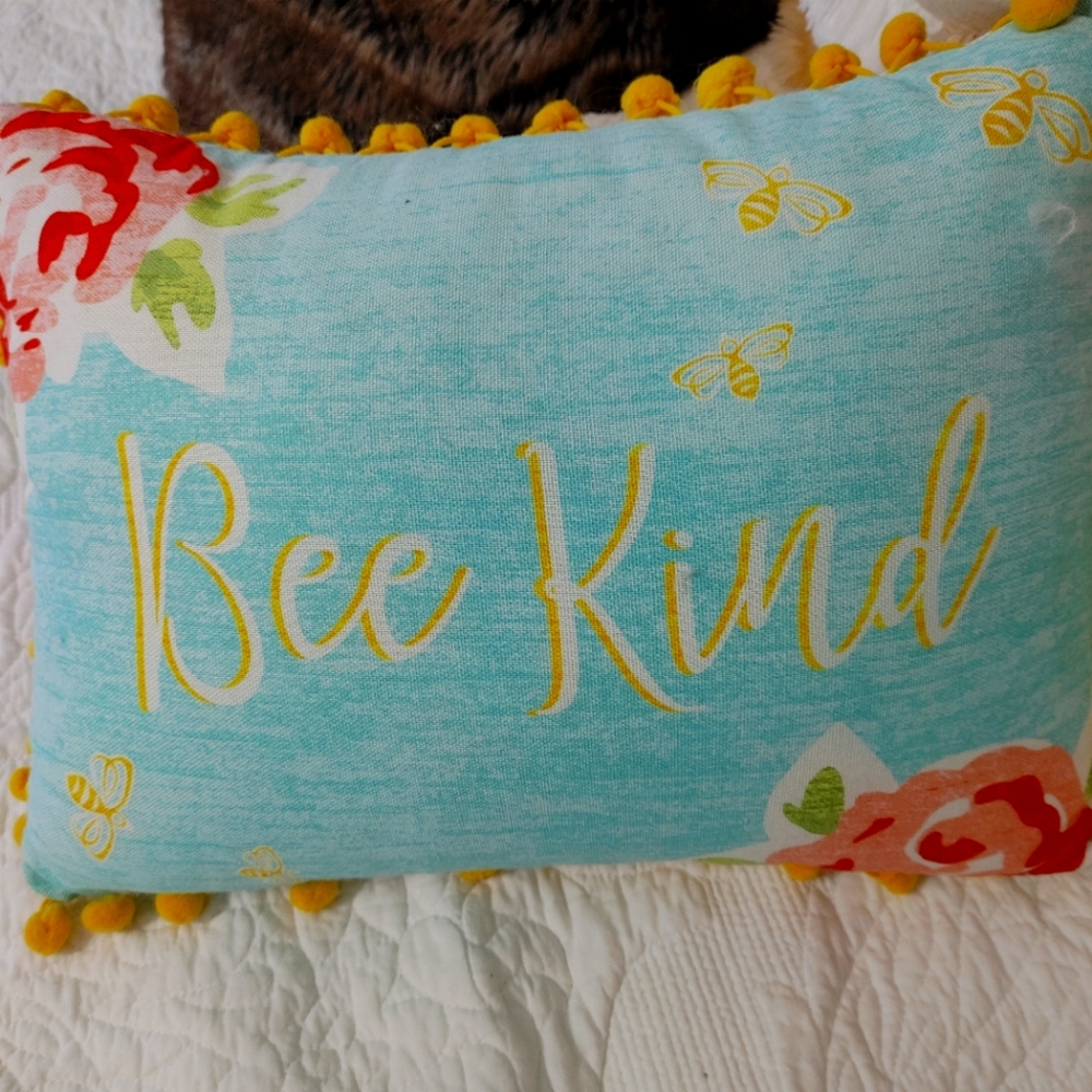 Pioneer Woman Bee Happy pillow